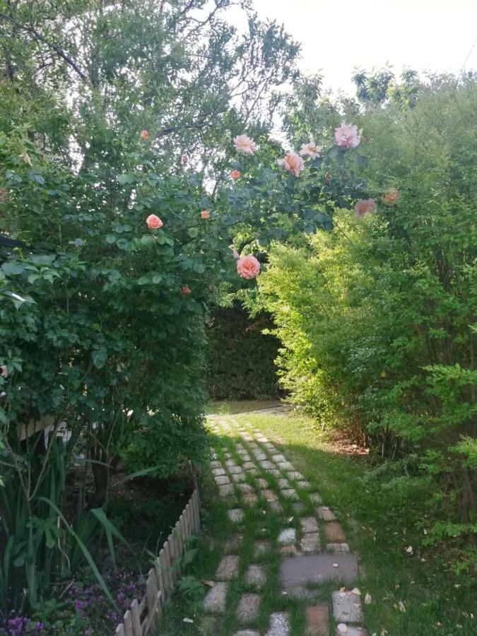 Casavittorio Bed & Breakfast San Giovanni In Marignano Exterior photo